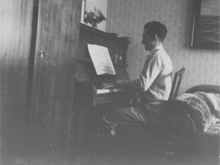 Merlin Playing the Piano